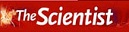The Scientist